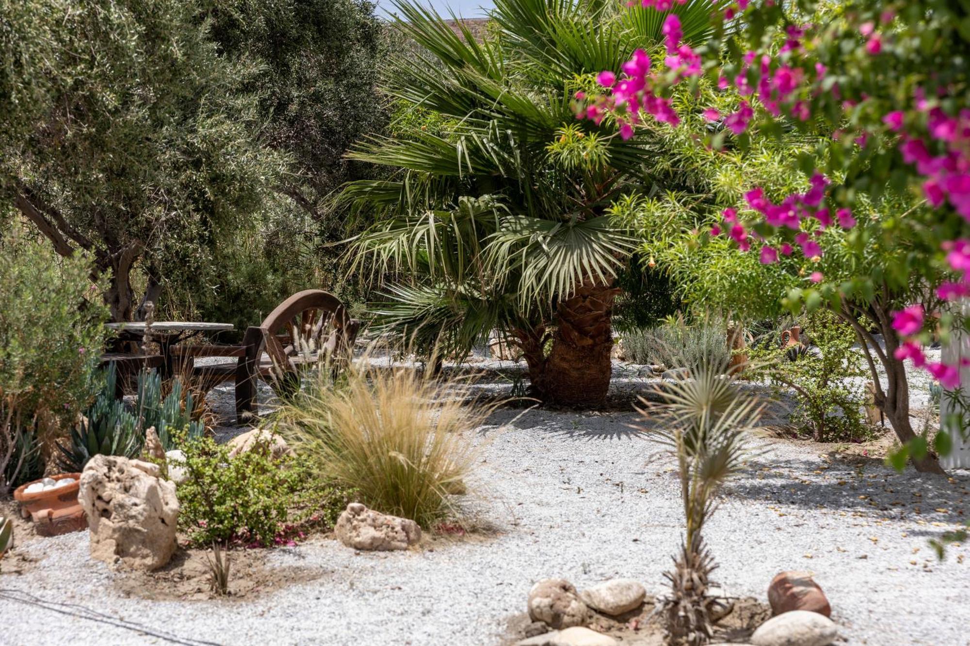 Pláka Helios Beach Studios מראה חיצוני תמונה